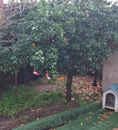 Casinha De Chocolate Outeiro (Lisbon)
